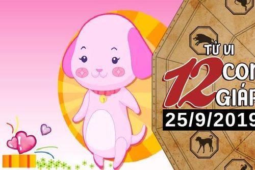 Xem tử vi thứ 4 ngày 25/9/2019 của 12 con giáp: Sửu may mắn ngập tràn, Dần chú ý chuyện tiền nong