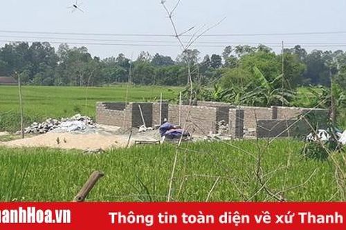Chủ tịch UBND huyện Hà Trung trả lời trường hợp vi phạm kéo dài về đất đai tại xã Hà Hải