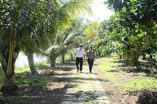 Miệt vườn giữa cao nguyên Gia Lai