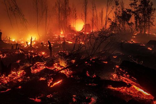 Cháy rừng Indonesia: Những con số giật mình