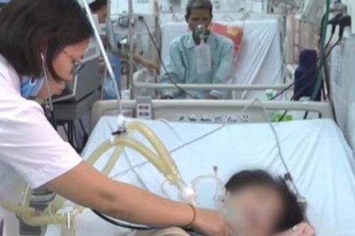 Xử lý vết ong vò vẽ đốt thế nào để không phải trả giá bằng mạng sống?