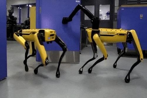 Chú chó robot biết mở cửa và đợi bạn đi qua đã được bán ra thị trường