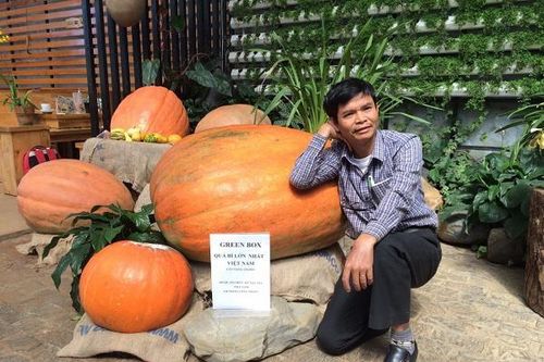 Quả bí ngô lớn nhất Việt Nam có trọng lượng 126,6 kg