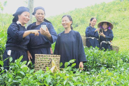 1,4 triệu đồng bào thiểu số đang được hỗ trợ tín dụng chính sách