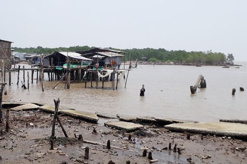 Cấp bách đầu tư các công trình phòng chống sạt lở bờ biển ở Cà Mau