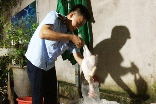 Gần 3 tạ thịt gà không rõ nguồn gốc đang được đóng gói, dán tem nhãn