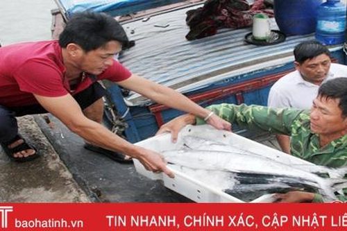 Hà Tĩnh cấp giấy chứng nhận ATVSTP cho 31 tàu cá, cảng cá