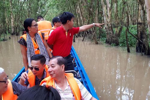 Hòa mình vào thiên nhiên trên cây cầu tình yêu trong rừng tràm Trà Sư