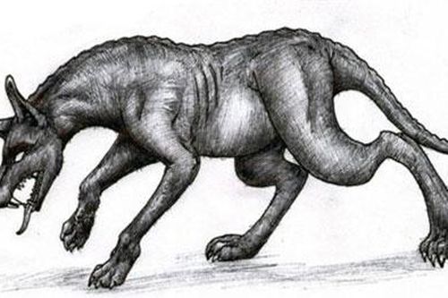 Sự thật về quỷ hút máu Chupacabra