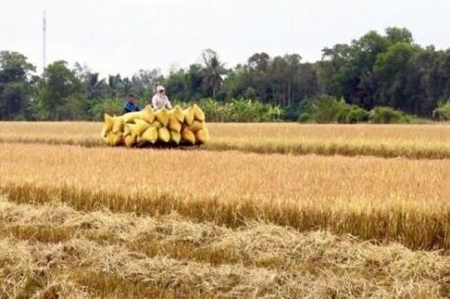Xây dựng nông thôn mới phù hợp với xuất phát điểm của địa phương