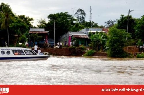 An Phú tăng cường ứng phó sạt lở