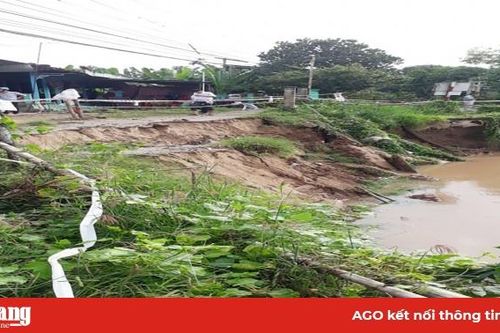 Đê bảo vệ kênh xáng Tân An tiếp tục sạt lở, di dời khẩn cấp 2 hộ dân
