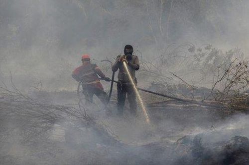 Thế giới Thế giới Cháy rừng ở Indonesia – 10 triệu trẻ em gặp nguy hiểm