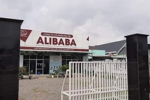 Công ty Alibaba huy động vốn theo phương thức đa cấp