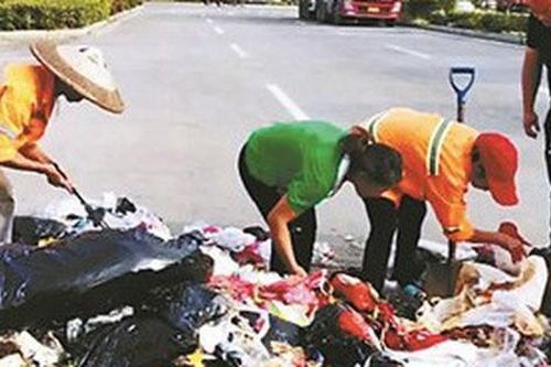 Bới 8 tấn rác tìm nhẫn cưới 100 triệu đồng