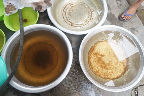 Nguồn nước của TP.HCM đứng trước nguy cơ mất an toàn