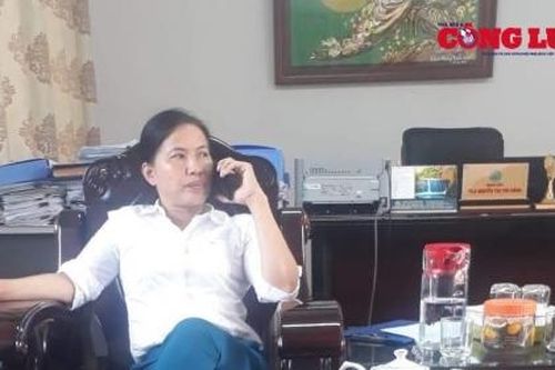 Vụ 'xẻ thịt' đất rừng Sóc Sơn: Đề nghị cảnh cáo bà Nguyễn Thị Thu Hằng - Giám đốc Ban Quản lý rừng
