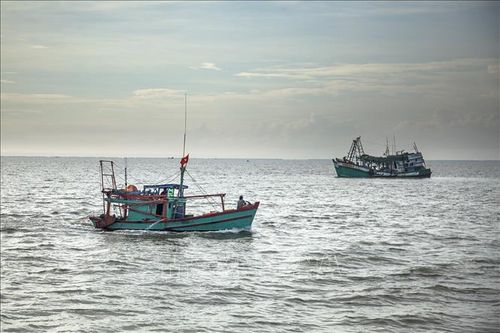Mạnh tay xử lý tàu cá vi phạm vùng biển nước ngoài