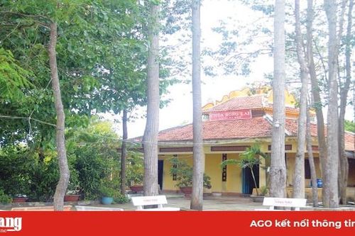 Viếng chùa Bà Bài
