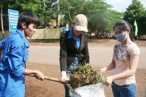 Khẳng định 'thương hiệu' phong trào tí̀nh nguyện