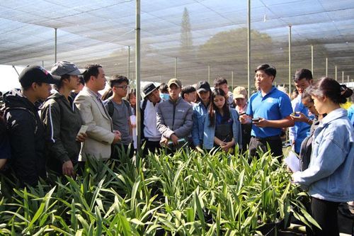 Hỗ trợ tối đa 1 tỷ đồng/dự án khởi nghiệp đổi mới sáng tạo