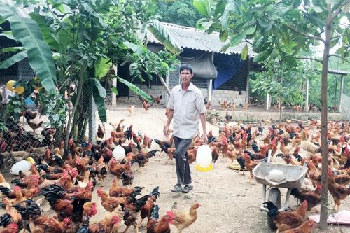 Không chủ quan dù đã công bố hết dịch