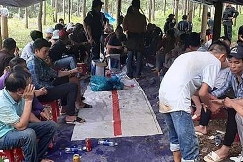 Sới xóc đĩa 'ẩn' trong rừng Quảng Nam