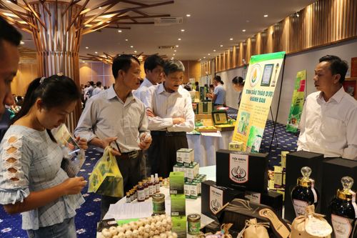 Kết nối thị trường cho sản phẩm đặc trưng vùng miền