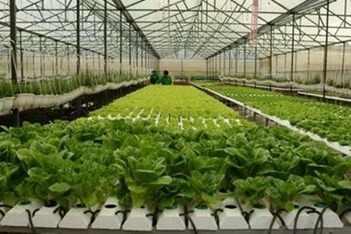 Ứng dụng công nghệ thông tin làm thay đổi nền nông nghiệp Việt Nam
