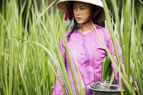 Vì sao phim 'Hai Phượng' của Ngô Thanh Vân được chọn dự tranh Oscar 2020?