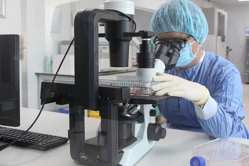 Viện Tế bào gốc bệnh viện quốc tế DNA đạt chứng chỉ GMP-WHO