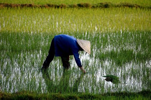 Hiểm họa ngủ sâu trong lòng đất