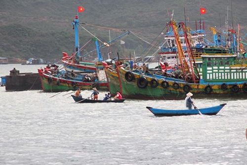 Mạnh tay với đánh bắt trái phép