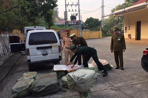 Bắt giữ hơn 500 kg nầm lợn thối chuẩn bị vào quán nướng đêm