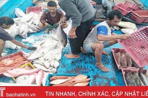 Tàu cá dưới 15m sau khi cải hoán phải đáp ứng đủ điều kiện vươn khơi