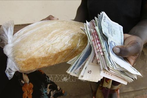 IMF cảnh báo nguy cơ siêu lạm phát tại Zimbabwe