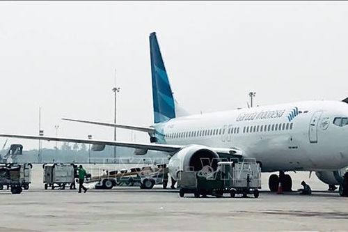 Boeing và FAA đánh giá sai về cách ứng phó của phi công đối với những vấn đề của máy bay 737 MAX