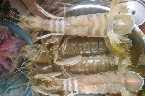 Luộc bề bề chỉ cần thả thêm thứ này, đảm bảo thịt ngon ngọt, lại tăng gấp 10 lần chất dinh dưỡng