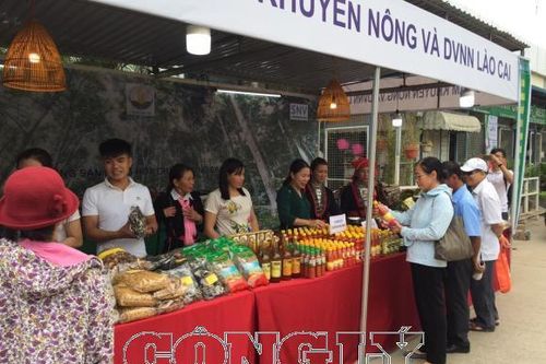 Nông sản Lào Cai tham gia Hội chợ Triển lãm Nông nghiệp Quốc tế lần thứ 19