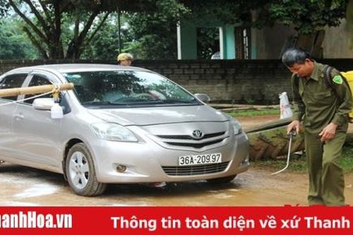 Tiêu hủy gần 4.000 tấn lợn do bệnh dịch tả lợn Châu Phi