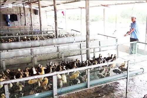 Nhân rộng các sáng kiến kỹ thuật