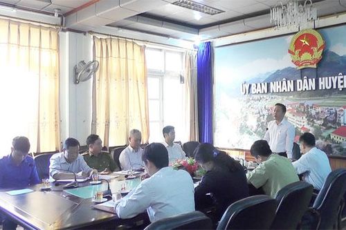 Bắc Hà phát sinh dịch bệnh tả lợn châu Phi
