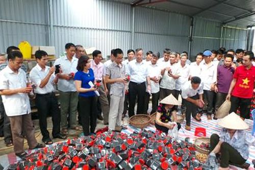 HTX Sinh Dược Gia Sinh: Góp phần tạo việc làm, nâng cao thu nhập cho nông dân