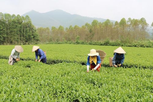 Đổi mới sản xuất để phát triển làng nghề
