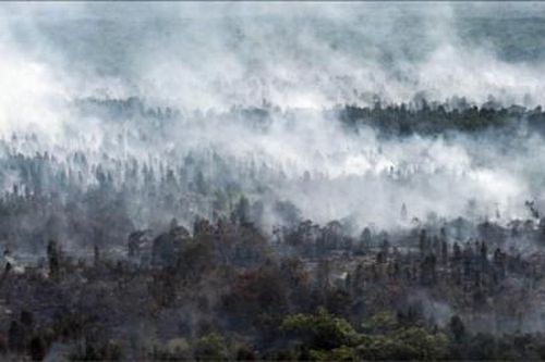 Thế giới Cháy rừng ở Indonesia thải ra 360 triệu tấn CO2