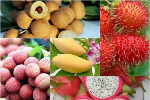Kết nối cung - cầu nông sản Việt Nam - Nhật Bản