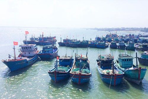 Các tỉnh phía Nam: Tích cực gỡ 'thẻ vàng' thủy sản của EC