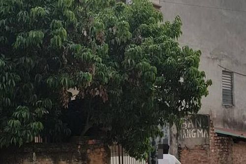 Nỗi đau xót của người ông có cháu trai hiếp dâm 2 em gái cùng cha khác mẹ