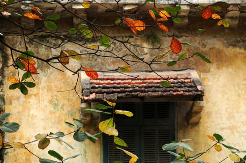 Quà mọn từ cơn gió heo may