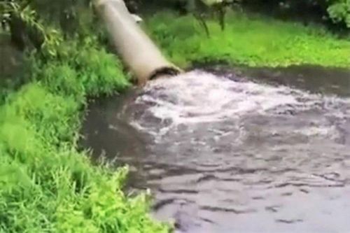 Tràn dầu tại nhà máy cồn Đại Tân (Quảng Nam): 'Sự cố' hay 'cố ý' xả thải chất bẩn?